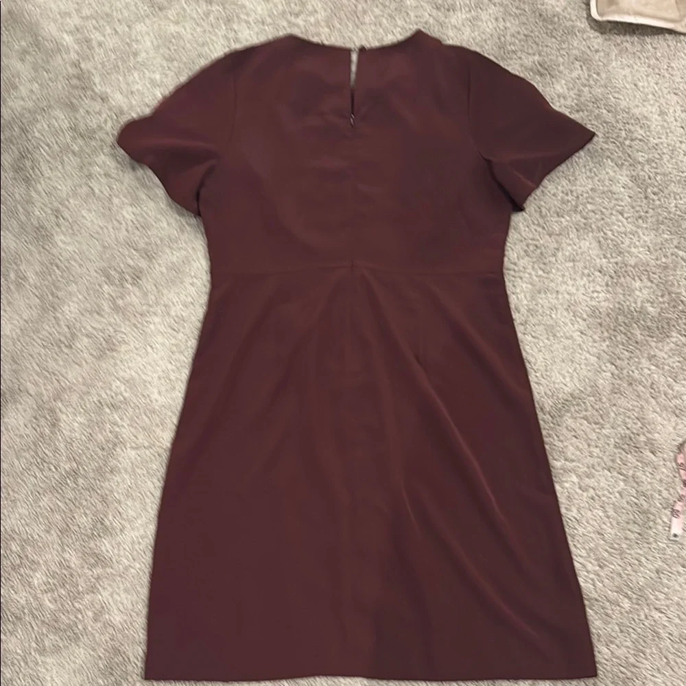 Elegant Burgundy Dress - Picture 6 of 6